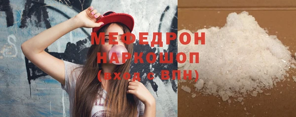 индика Медвежьегорск