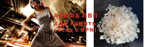 индика Медвежьегорск