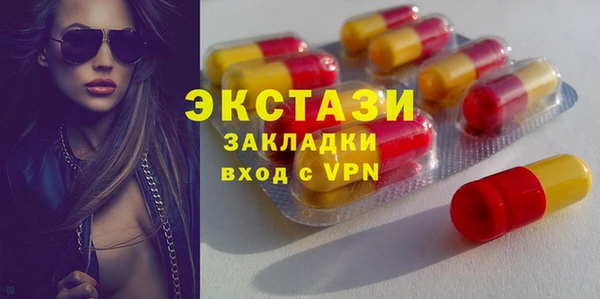 индика Медвежьегорск