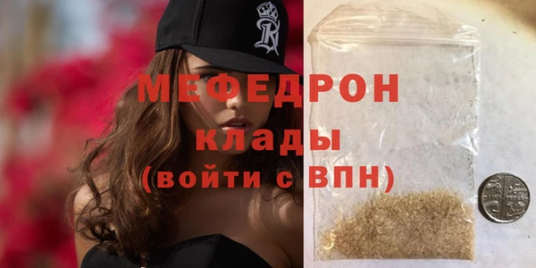 индика Медвежьегорск