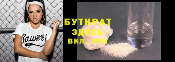 индика Медвежьегорск
