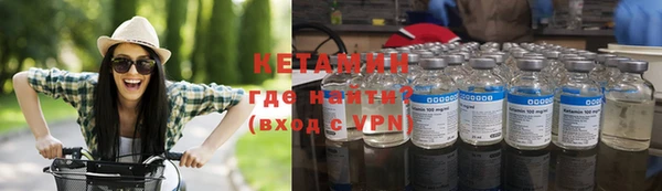 индика Медвежьегорск
