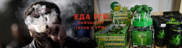 индика Медвежьегорск