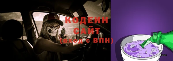 индика Медвежьегорск