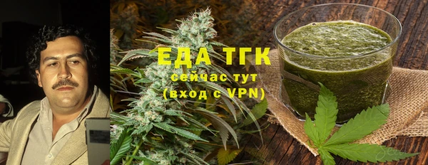 индика Медвежьегорск
