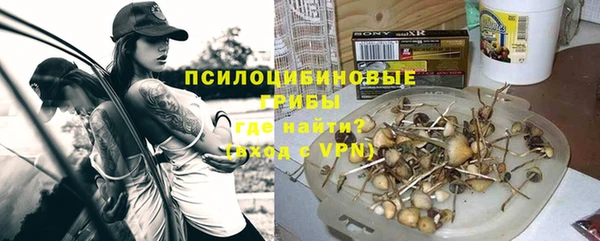 мескалин Михайлов