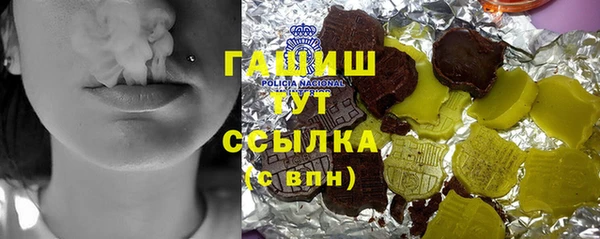 индика Медвежьегорск