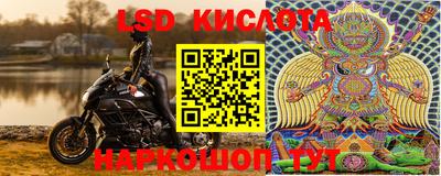 ГАЛЛЮЦИНОГЕННЫЕ ГРИБЫ Кулебаки