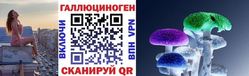 купить наркотики сайты  Сургут  Галлюциногенные грибы мухоморы 