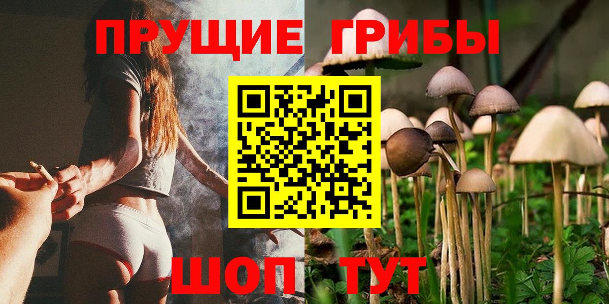 Псилоцибиновые грибы Psilocybine cubensis  Сургут 