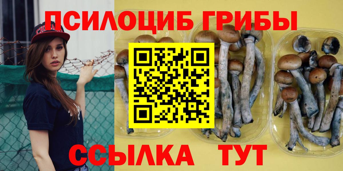 Галлюциногенные грибы GOLDEN TEACHER Сургут