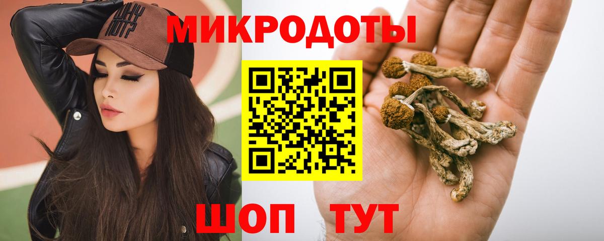 где продают   Псилоцибиновые грибы Magic Shrooms  Вход с VPN  Сургут 